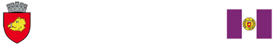 Primăria Roman